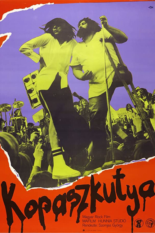 Kopaszkutya (1981) poster