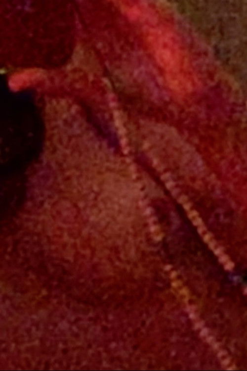 I Give My Heart a Medal for Letting Go of You (2022) poster