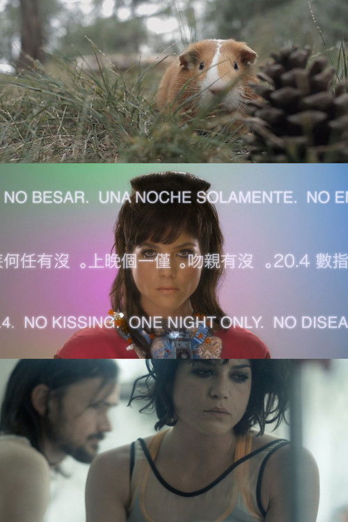 Animal Love (2011) poster