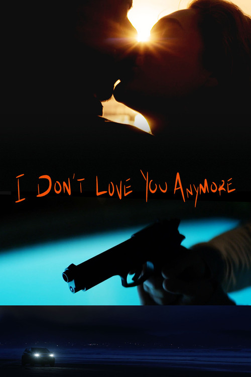 I Don't Love You Anymore (2026) poster