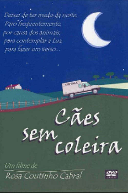 Cães Sem Coleira (1999) poster