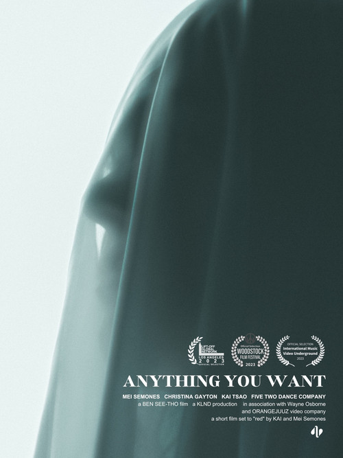 Anything You Want (2023) poster