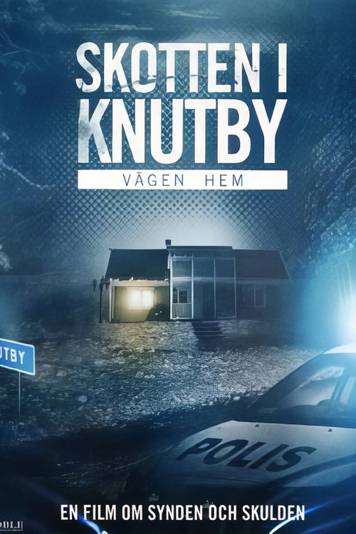 Vägen hem (2009) poster