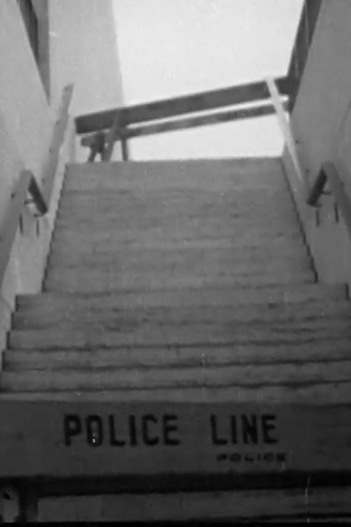 The Case Against Lincoln Center (Newsreel #16) (1968) poster