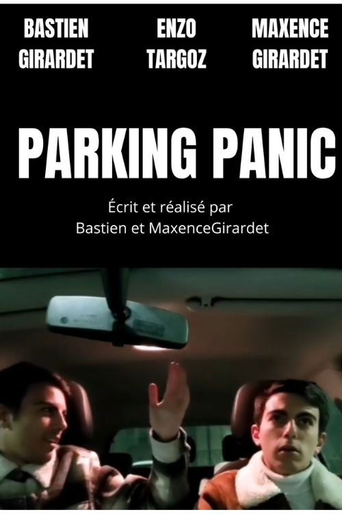 PARKING PANIC poster