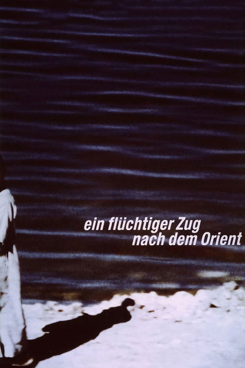 A Fleeting Passage to the Orient (1999) poster