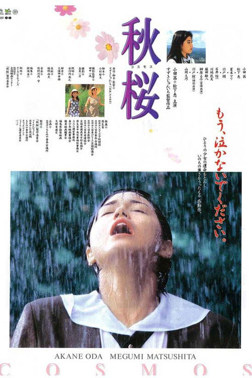 Remembering the Cosmos Flower (1997) poster