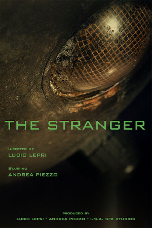 The Stranger (2013) poster