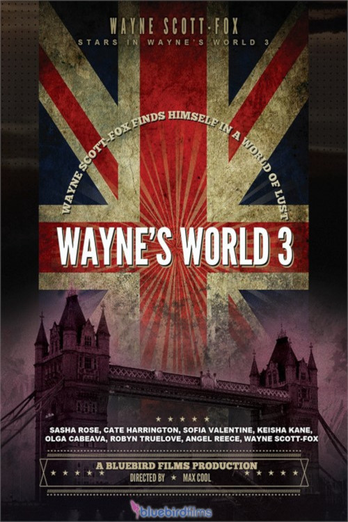 Wayne's World 3 (2008) poster