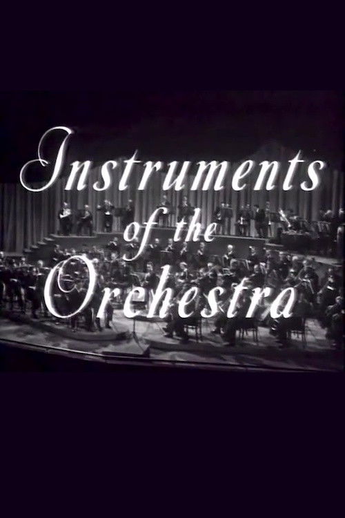 Instruments of the Orchestra (1946) poster