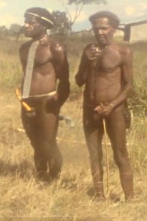 Among the Papoo of Irian Jaya (1987) poster