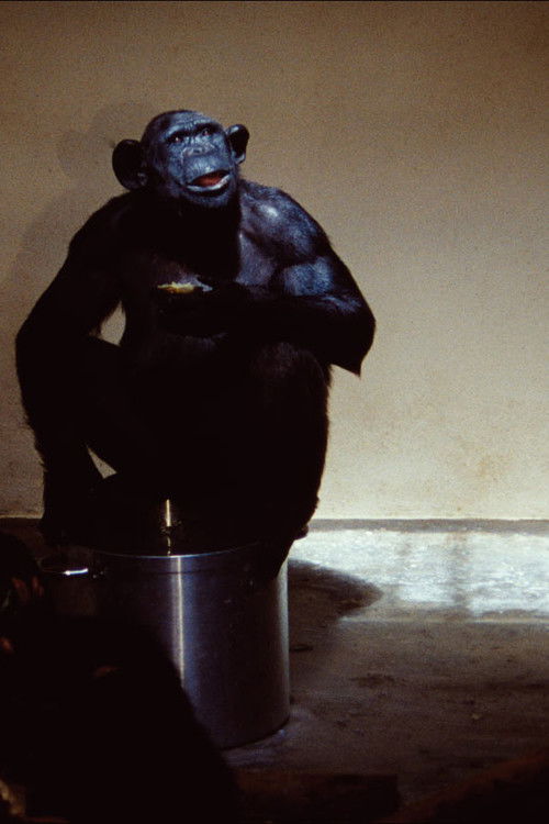 The Soup (2009) poster