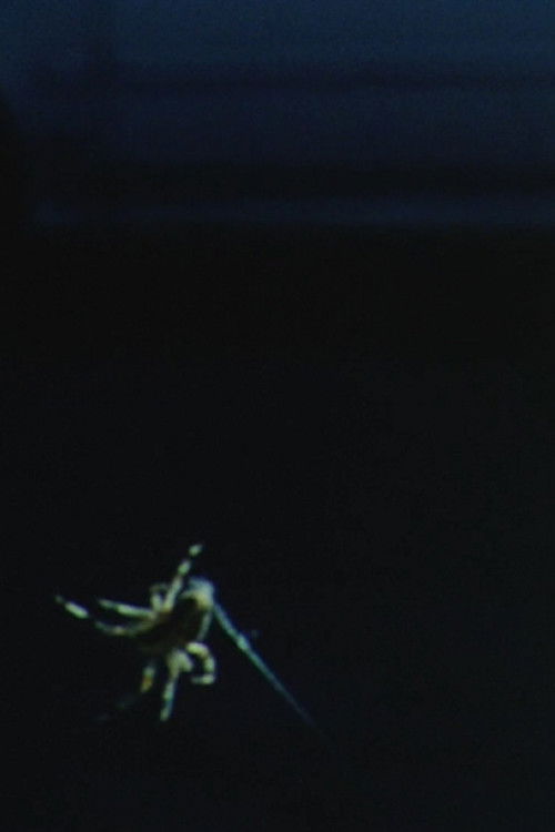 Arachnophilia (2016) poster