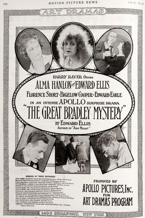 The Great Bradley Mystery (1917) poster