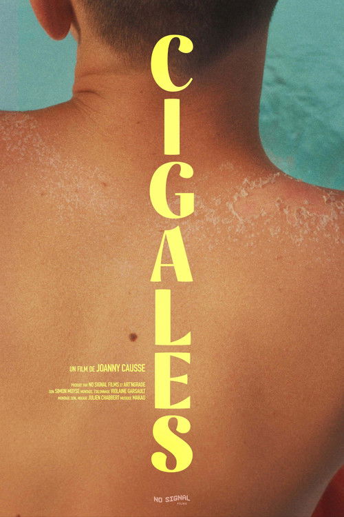 Cicadas (2024) poster