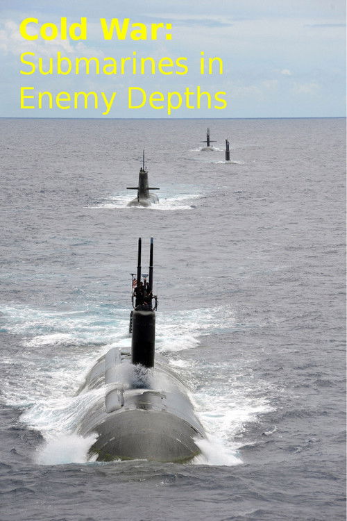 Cold War: Submarines In Enemy Depths (2002) poster