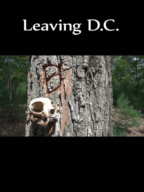 Leaving D.C. (2013) poster