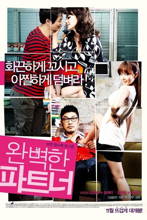 완벽한 파트너 (2011) poster