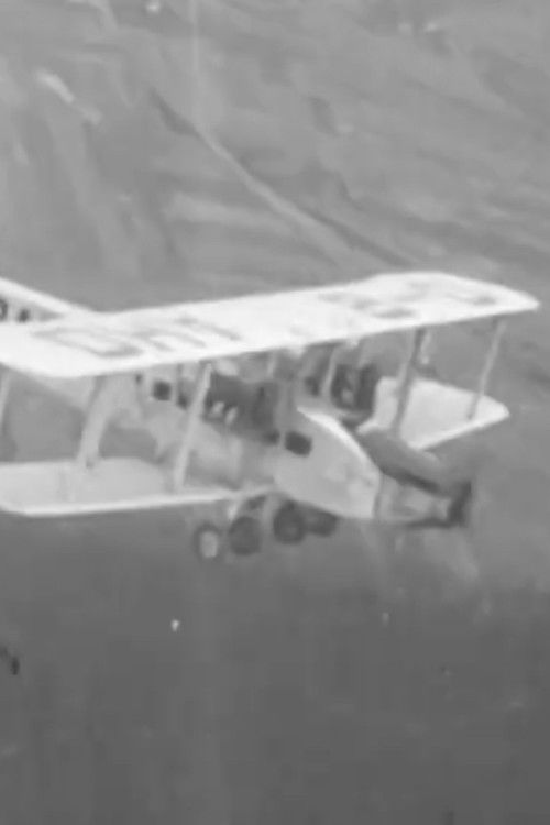 What We Said to Brussels Airlines (2026) poster