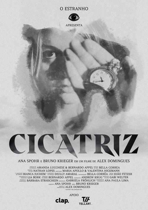 Cicatriz poster