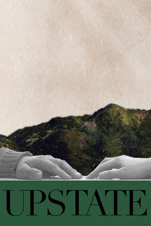 Upstate (2010) poster