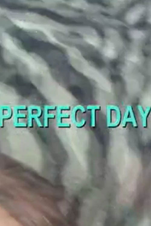 Perfect Day (2007) poster