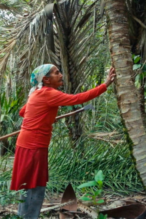 Palavra (2024) poster