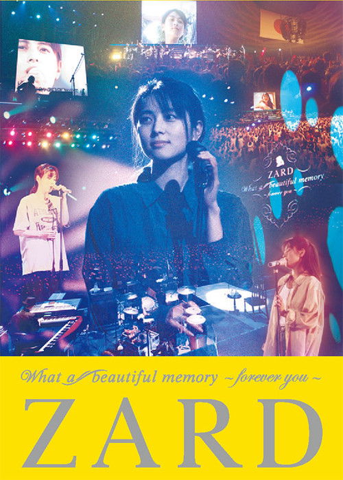 What a beautiful memory ～forever you～ (2011) poster