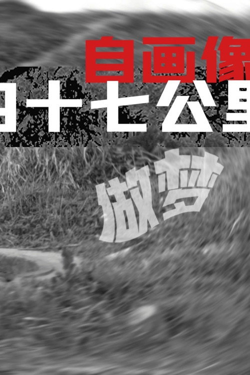Self-Portrait: Dreaming at 47 KM (2013) poster
