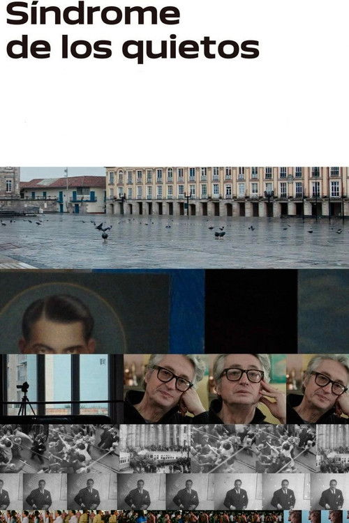 The Stillness Syndrome (2021) poster