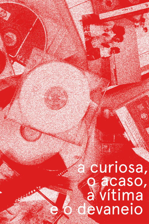 a curiosa, o acaso, a vítima e o devaneio (2025) poster