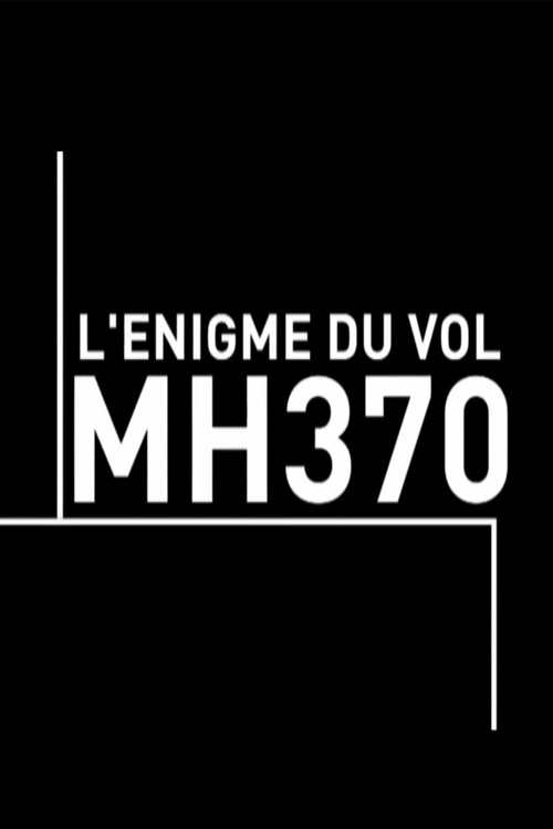L'énigme du vol MH370 (2015) poster