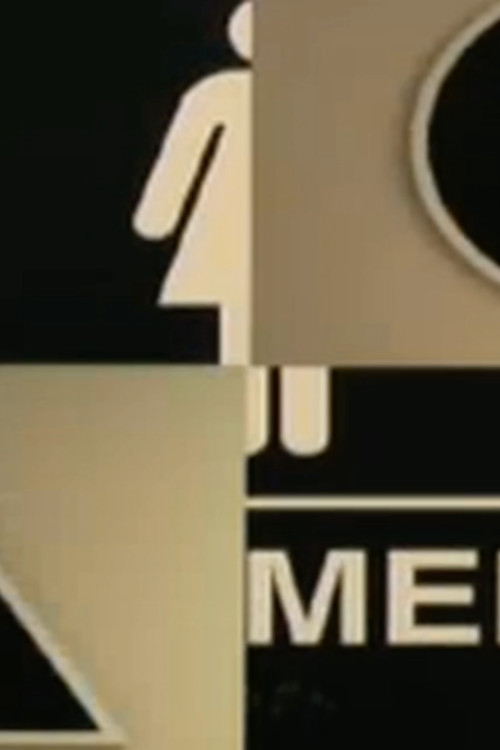 Wrong Bathroom (2005) poster