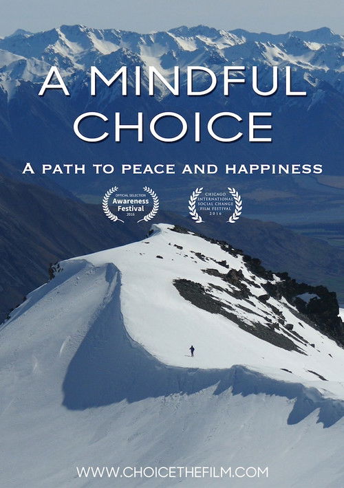 A Mindful Choice (2016) poster