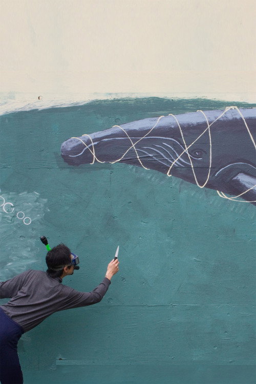 The Whale Story (2012) poster