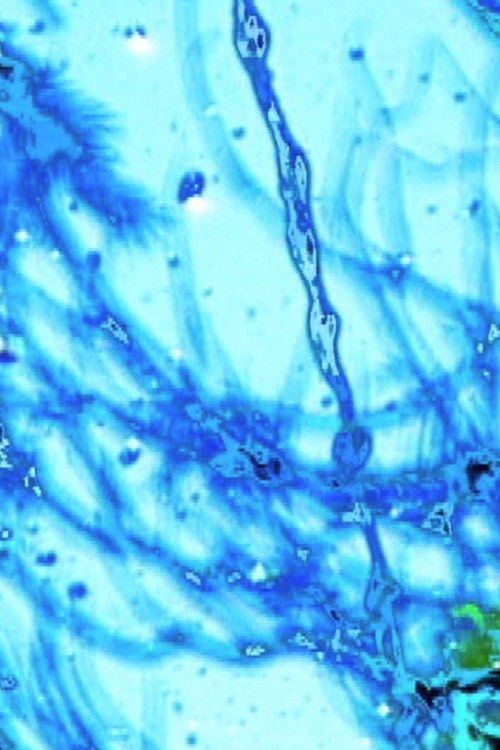 life never ever like before (2002) poster