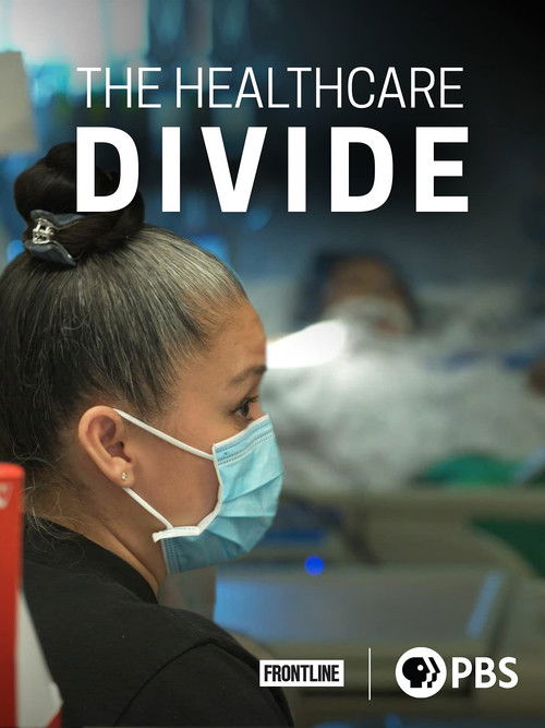 The Healthcare Divide (2021) poster