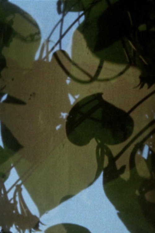 Arsenic (2011) poster