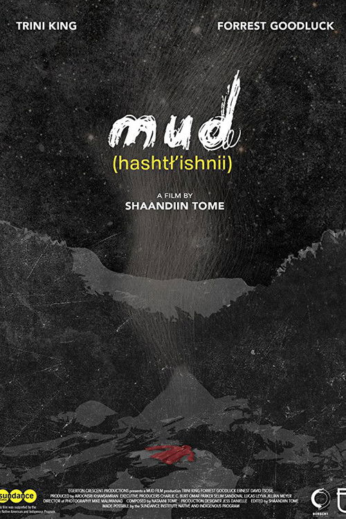 Mud (2018) poster