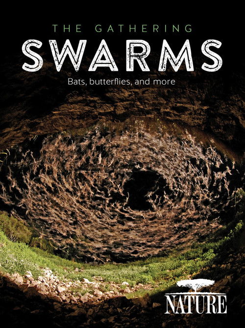 The Gathering Swarms (2014) poster