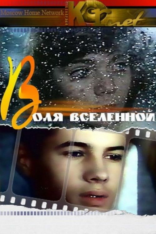 Will of Universe (1988) poster