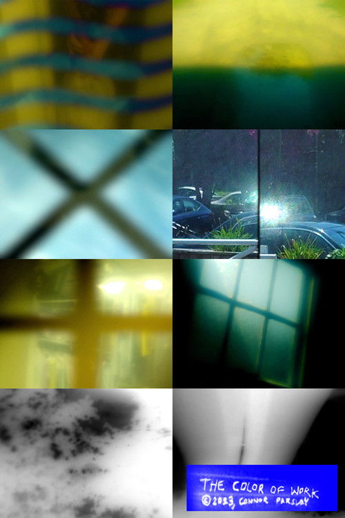 The Color of Work (2024) poster