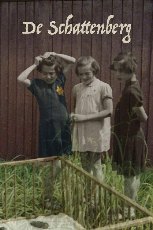 Treasure Mountain (2007) poster