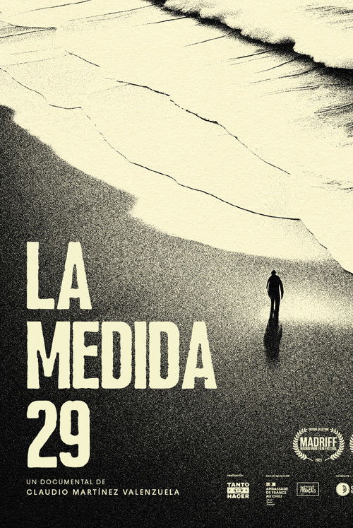 The 29 Law (2024) poster