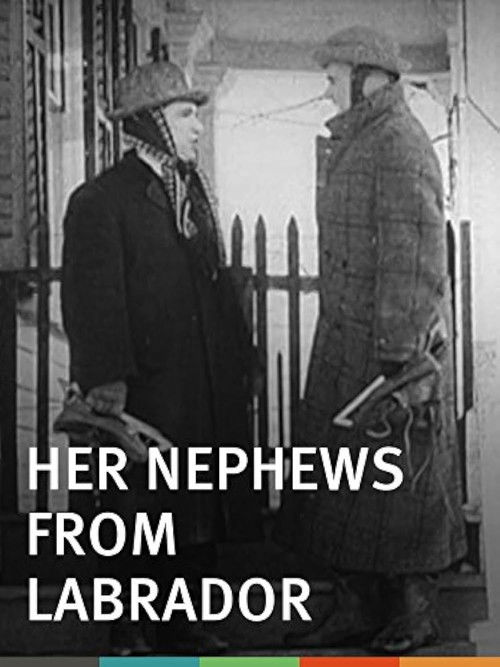 Her Nephews from Labrador (1913) poster