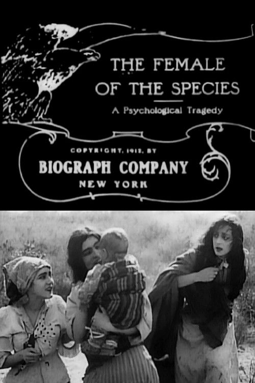 The Female of the Species (1912) poster