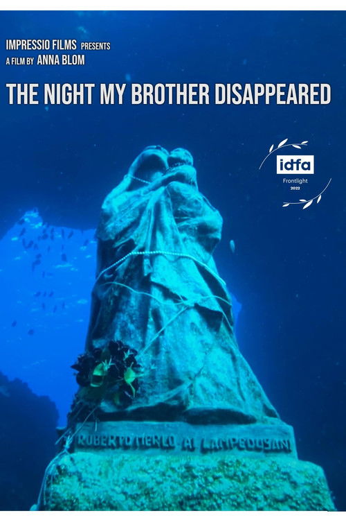 The Night My Brother Disappeared (2022) poster