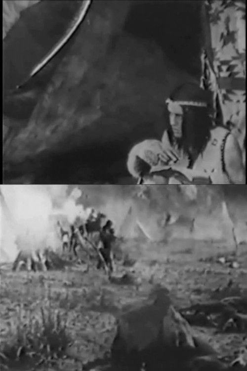 The Yaqui Cur (1913) poster