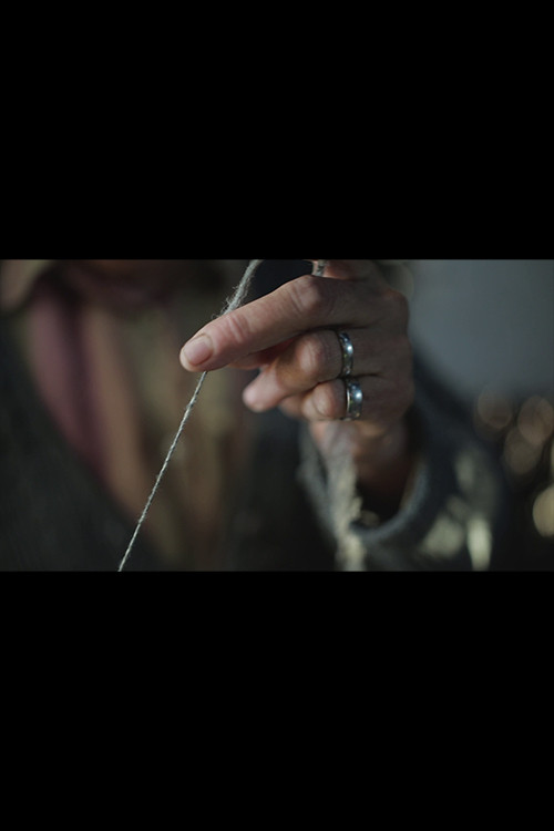 The wool trail (2020) poster