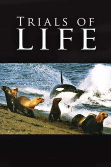 The Trials of Life (1990) poster